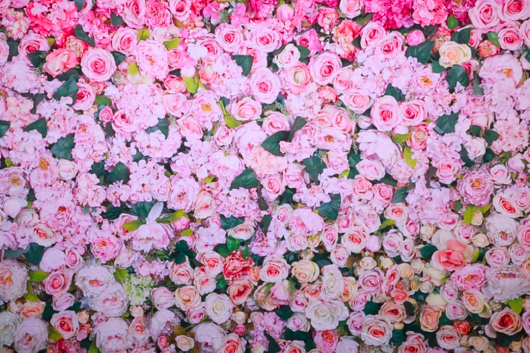 pb bg blush bloom 1050x700px