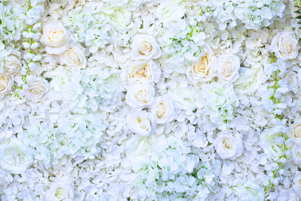 pb bg pure bloom 1050x700px